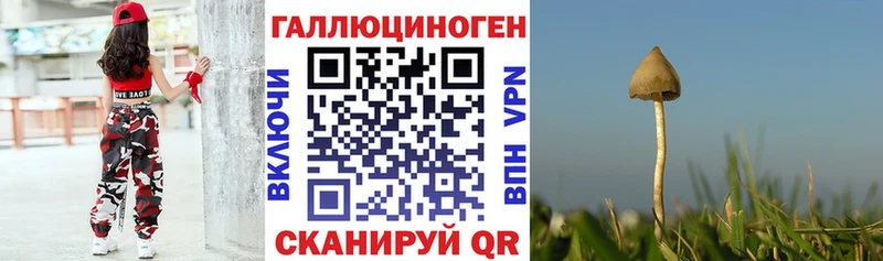 Галлюциногенные грибы мицелий  нарко площадка формула  Шатура 